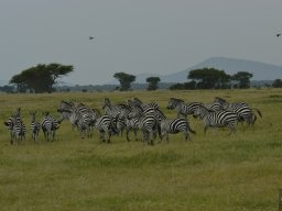 Western_Corridor_(Kirawira)2003-082